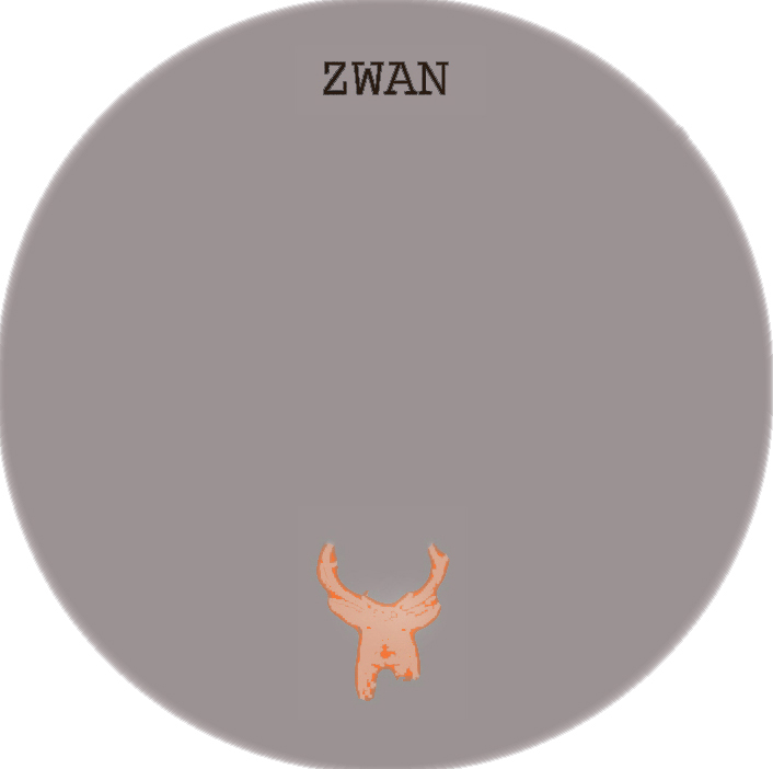 Bootleg CD cover for the 18 November 2001 Zwan show